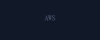 AWS partner logo