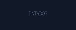 Datadog partner logo
